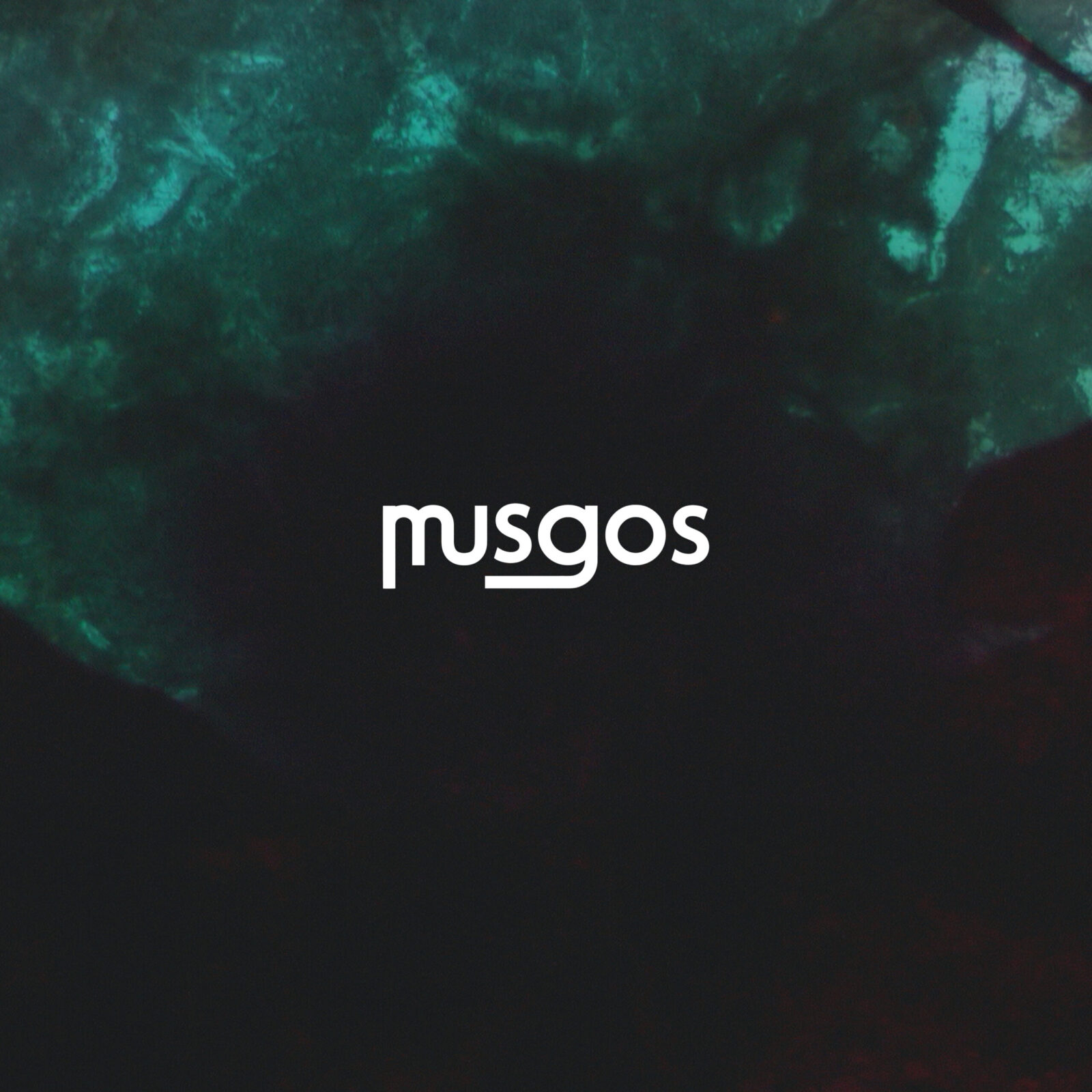 Musgos – Memórias Dissonantes de Paisagens Arrítmicas